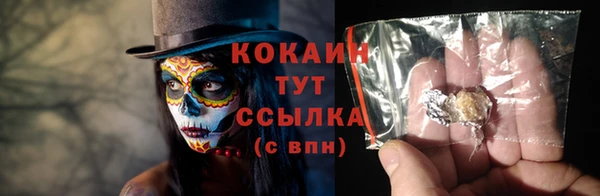 дживик Новодвинск