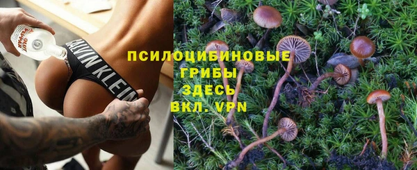 мдма Новозыбков