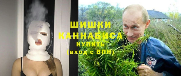 мдма Новозыбков