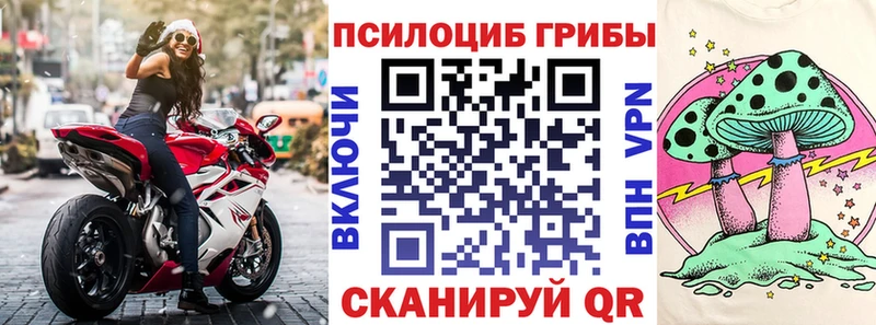 Галлюциногенные грибы Cubensis Славянск-на-Кубани